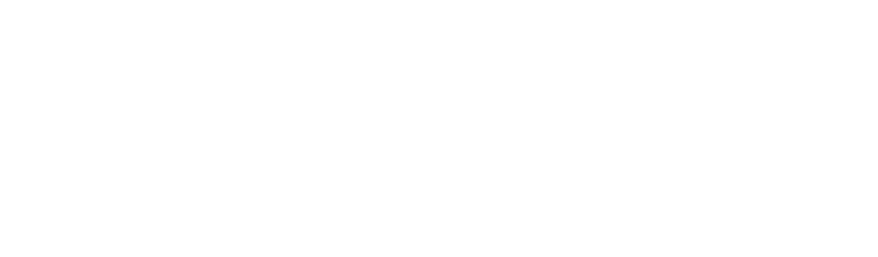Westchester Surplus logo