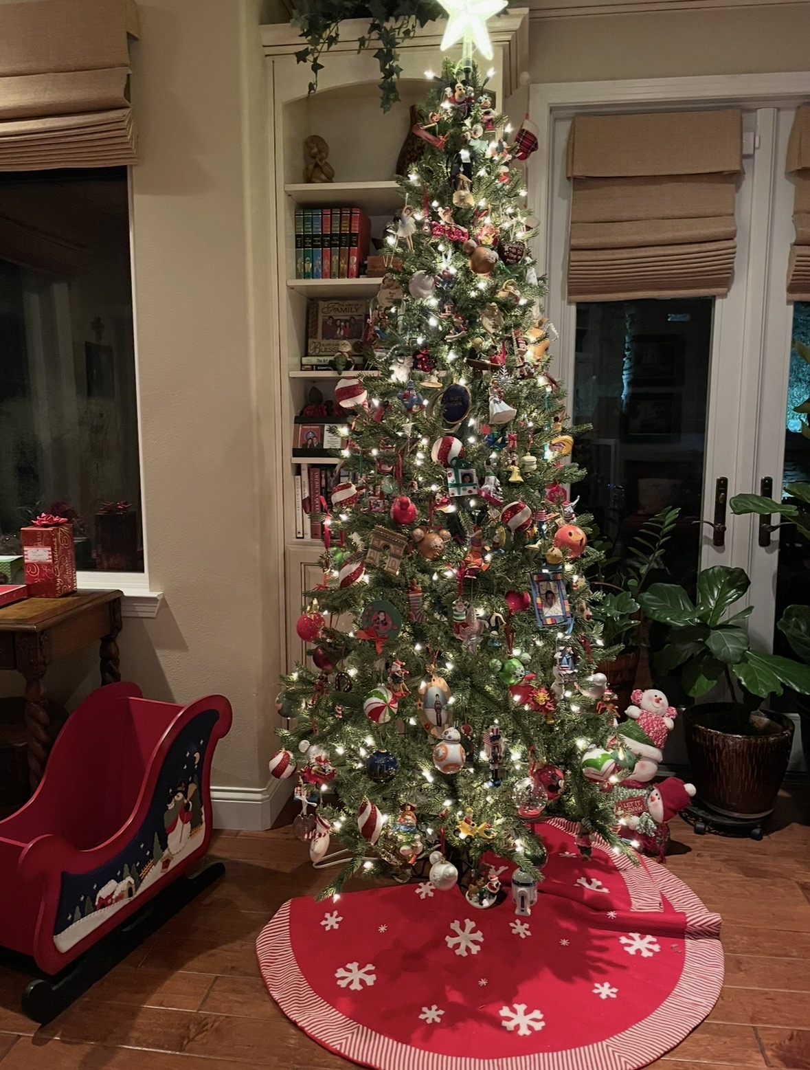 IMG_8809.jpeg